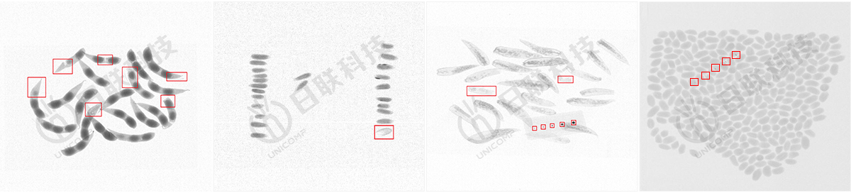 365be体育官方网站异物检测X光图